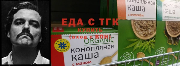 каннабис Богданович