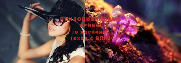 каннабис Покачи
