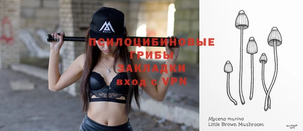 MDMA Белокуриха