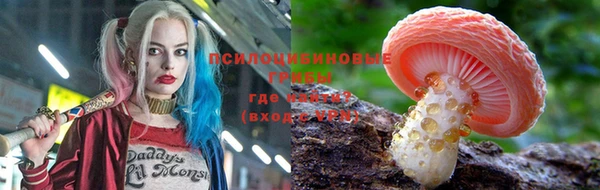 гидропоника Беломорск
