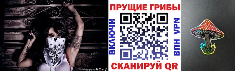 блэк спрут рабочий сайт дарнет шоп Саяногорск Псилоцибиновые грибы прущие грибы
